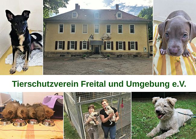 Tierschutzverein Freital und Umgebung e. V.
