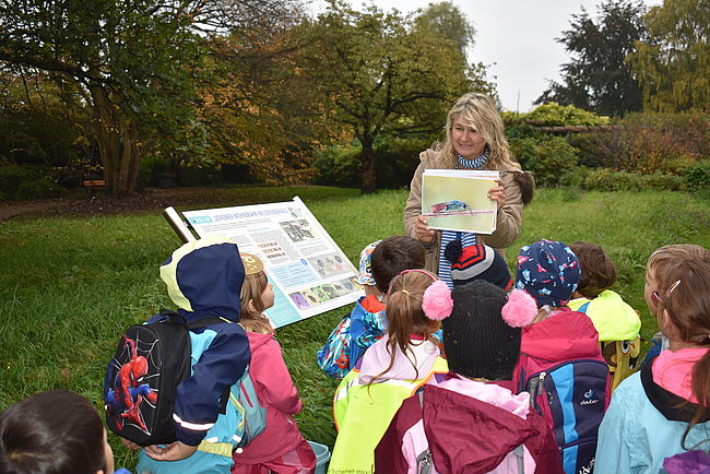 Bienenführungen im Lübecker Schulgarten