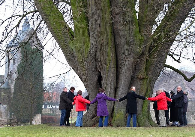 Projekt "Dorf.Zukunft.Digital"