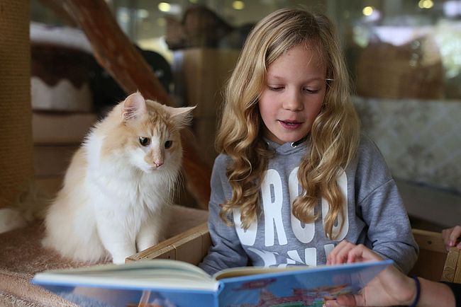 Kinder lesen Katzen vor