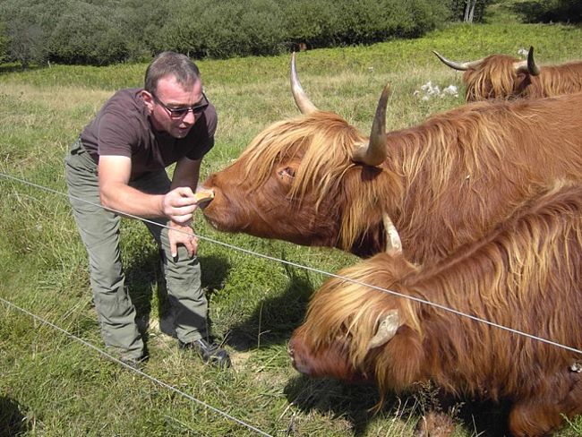 Arbeitskreis Natur- und Umwelt Asbacher Land (ANUAL e.V.)