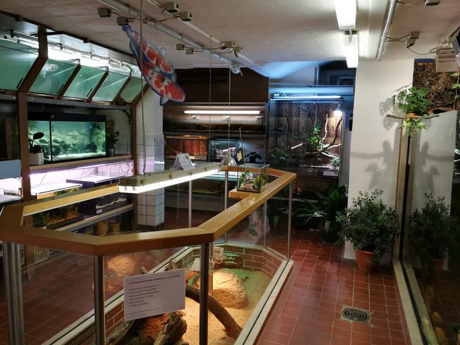 Aquarien- und Terrarienverein "OSIRIS" Roßwein e. V.