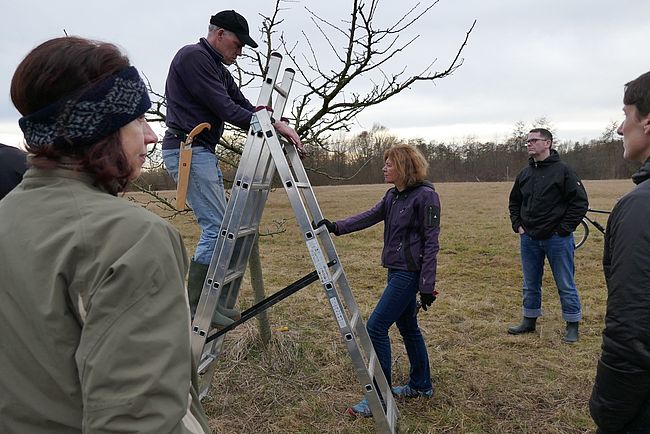 Bürgerstiftung Hemmingen