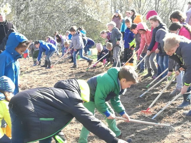 Blumiges Melle/Blumiger Landkreis Osnabrück