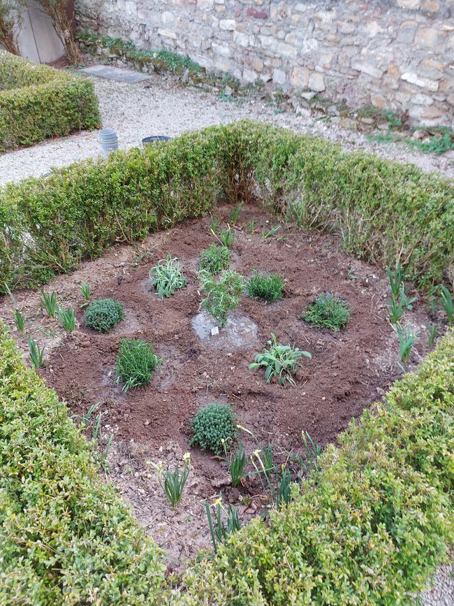Ein bunter Garten für St. Stephan / Ahed Alhamad