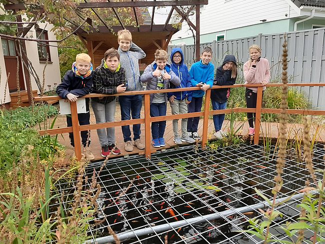 Aquarien- und Terrarienverein "OSIRIS" Roßwein e. V.
