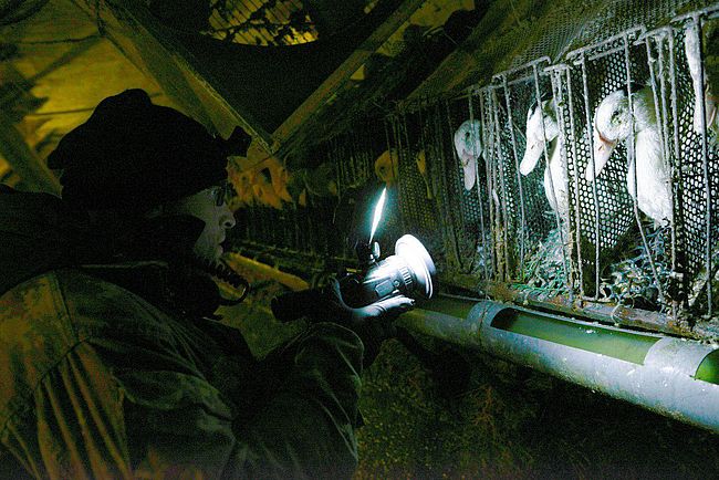 SOKO Tierschutz e. V.