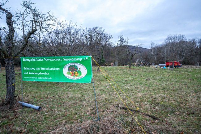 Bürgerinitiative Naturschutz-Siebengebirge e. V.