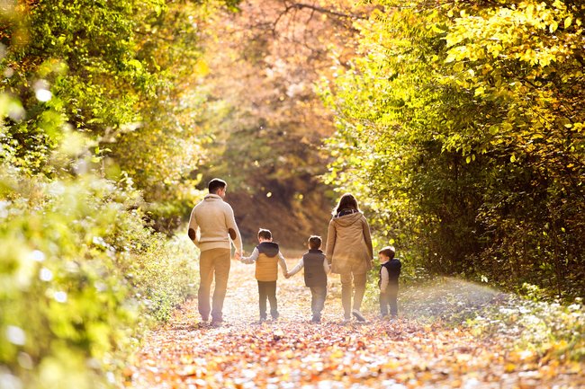 Netzwerk Brückenschlag mit dem Angebot Familien-SCOUT: Unterstützung für Familien mit minderjährigen Kindern bei denen Mutter oder Vater an Krebs erkrankt sind