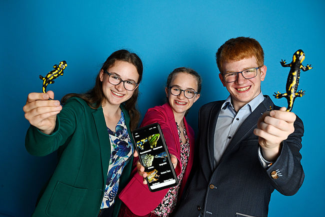 Salamandra salamandra terrestris