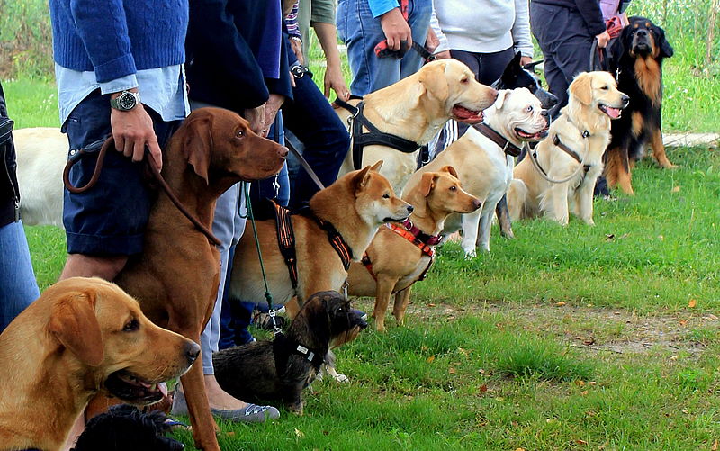"Start in die Ausbildung"