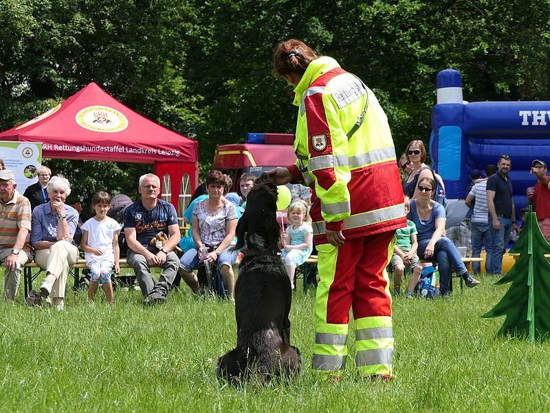 Schafe und Ziegen der Solawi LLeipziger Neuseenland e.V.