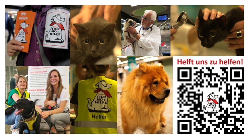 Unsere 1. Vorsitzende