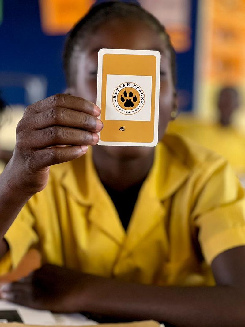 Fakten über Geparden in Namibia (Station 2)