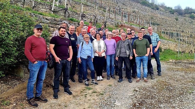 Blühstauden im Weinberg