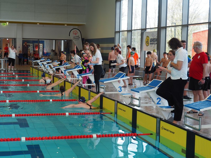 Schwimmerinnen warten im Wasser auf das Startsignal