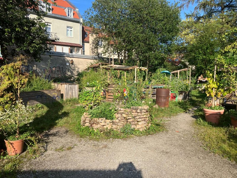 Sicht auf den Gemeinschaftsgarten