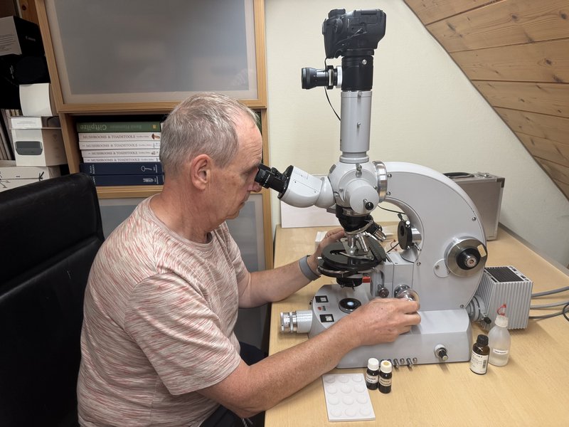 Dr. Bernhard Otto untersucht Pilzmaterial am Mikroskop; auf dem Arbeitstisch stehen Reagenzien und Präparationsmaterial.