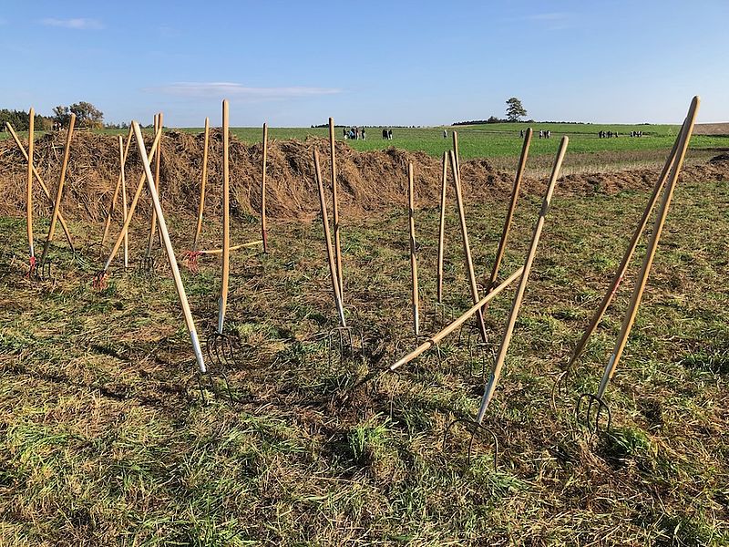 Mahd ist bereit für den Abtransport