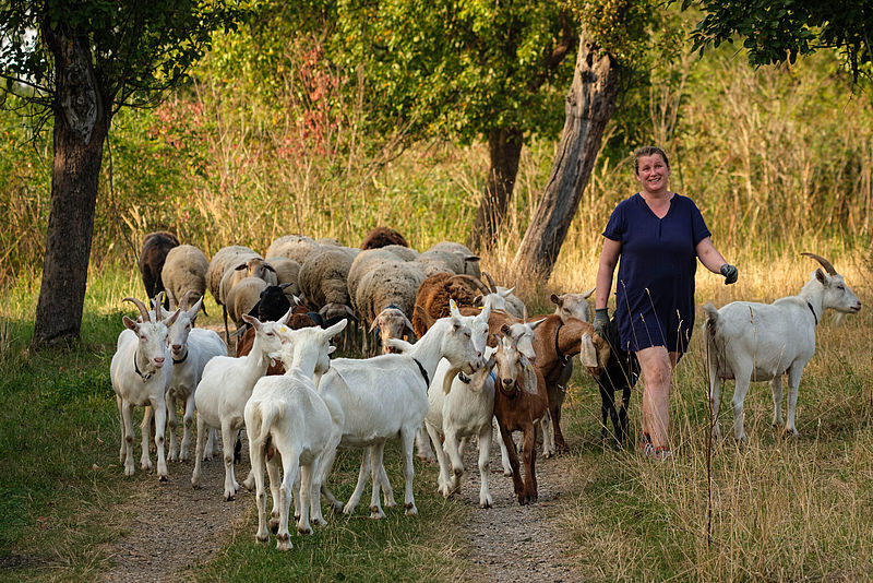 für Familien mit schwerkranken, sterbenden Kindern