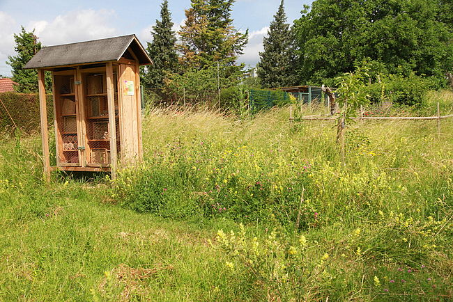 Nachbarschaftsinitiative Bee Sossenheim 