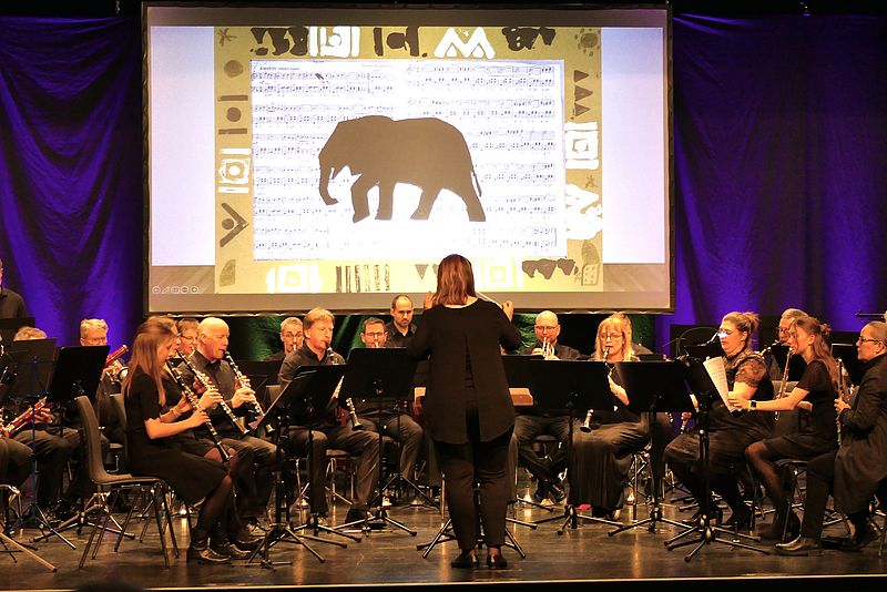 Projekt "Blasmusik trifft junge Künstler"