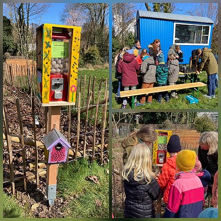 Kinder bauen einen Saatgutautomaten für den NABU Garten in Lingen