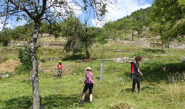 Verein zur Erhaltung bedrohter Tierarten und ihrer Lebensräume e.V.
