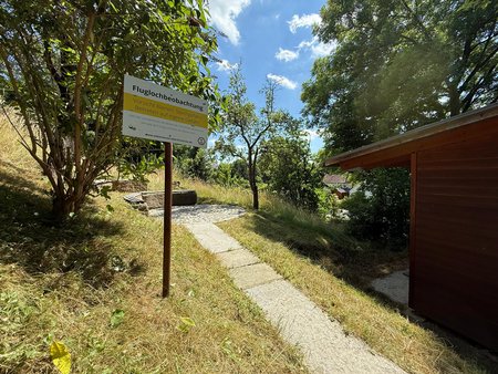 Lehrbienenstand mit Fluglochbeobachtungsstation