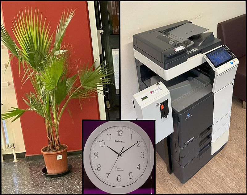 Fächerpalmen, Funkuhren für alle Klassen, Schülerkopierer