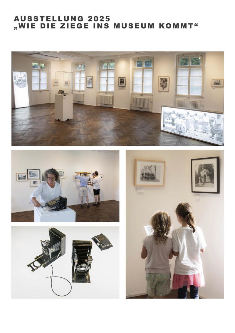 Ausstellung: Wie die Ziege ins Museum kommt