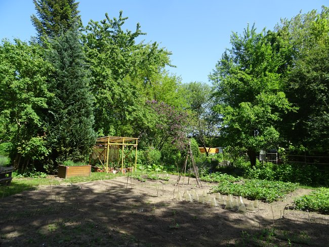 Nachbarschaftshilfe WGG e.V. /Gemeinschaftsgarten "Bunte Flora"
