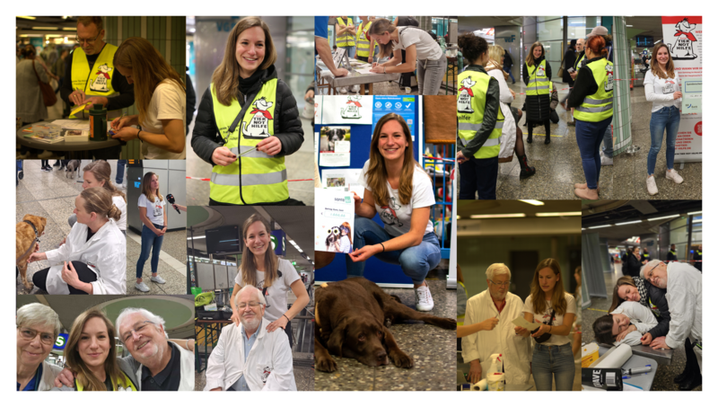 Einblicke - Sozialen Tier-Not-Hilfe Frankfurt e.V.