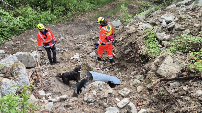 Hund steht vor Trümmerberg und zeigt dem Rettungshundetrupp, wo eine Person vergraben liegt