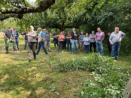 Gruppe von Menschen auf einer grünen Wiese
