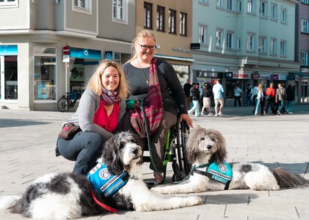 2 Mensch-Assistenzhund-Gemeinschaften