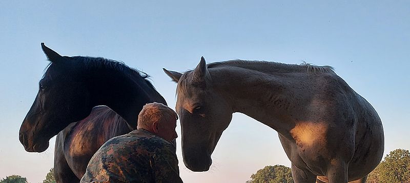 Zusammen mit Holz und Pferd