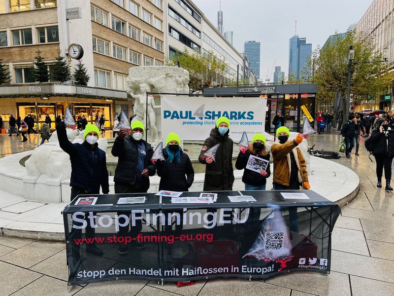 Sechs junge Aktive mit Haiflossen-Modellen vor Paul4Sharks- und StopFinningEU-Bannern bei einer Unterschriftenaktion in der Frankfurter Innenstadt