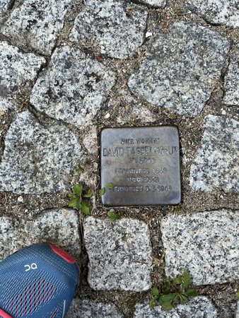Stolperstein in Erinnerung an David Tasselkraut