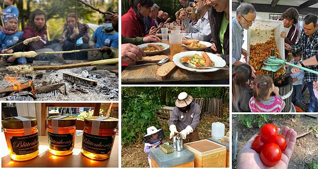 Gemeinschaftsgarten Worms-Caritasverband Worms e. V.
