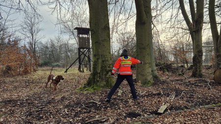Hund rennt freudig auf Hundeführerin zu, diese weißt dem Tier die nächste Richtung, wo es hinlaufen soll