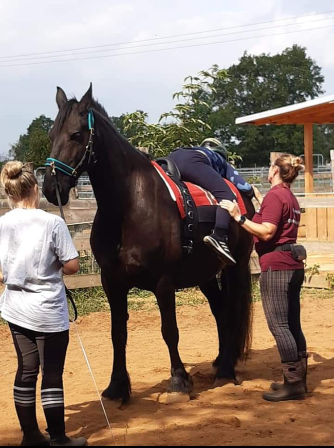 Verein BIKER ZEIGEN HERZ FÜR KINDER  ; Projekt „Spenden für tiergestützte Therapien für kranke Kinder und Jugendliche, die vom Ambulanten Kinder - und Jugendhospizdienst ‚Lila Wolke‘ und vom Diakonischem Werk betreut werden“