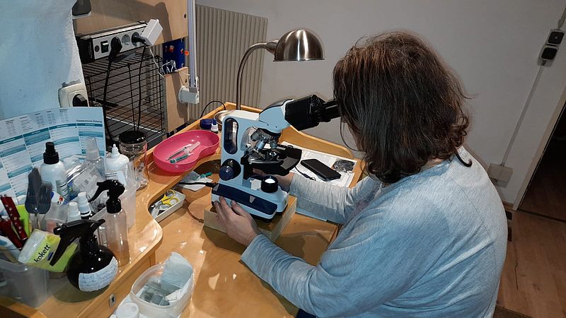 Mikroskopieren muss auch mal sein