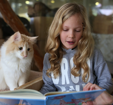 „Kinder lesen Katzen vor“ – ein neues Projekt vom Tierheim Berlin
